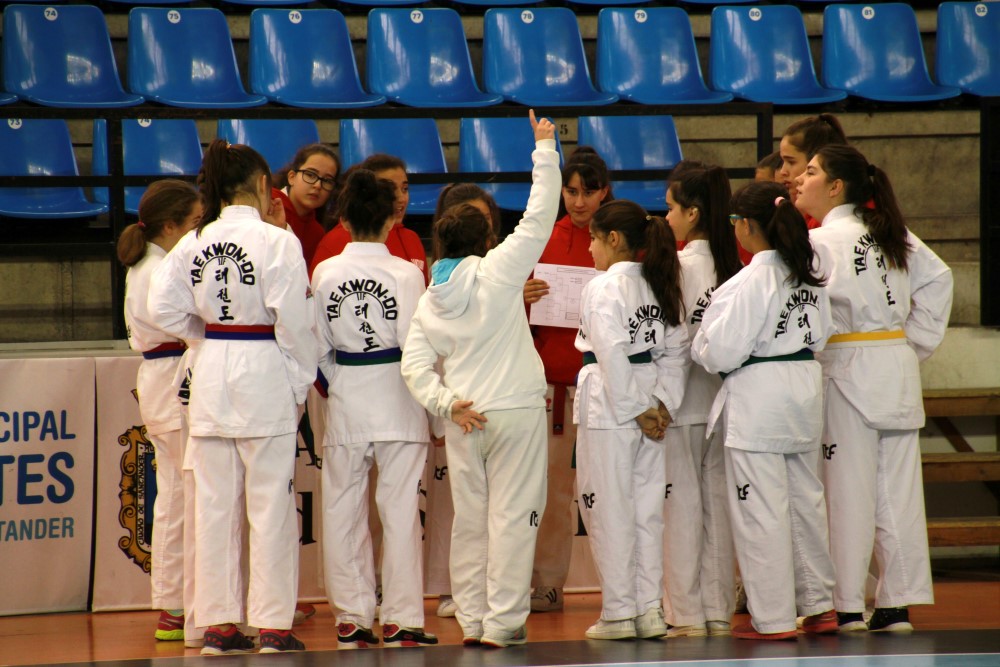 Taekwondo Dic 2016 (13).jpg
